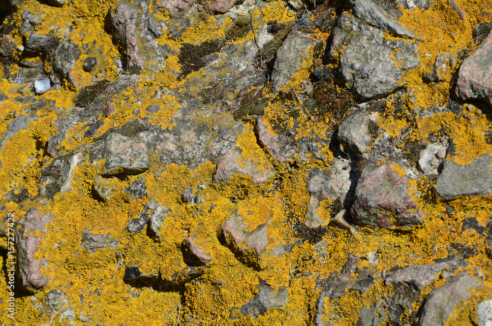 Weather beaten concrete surface.