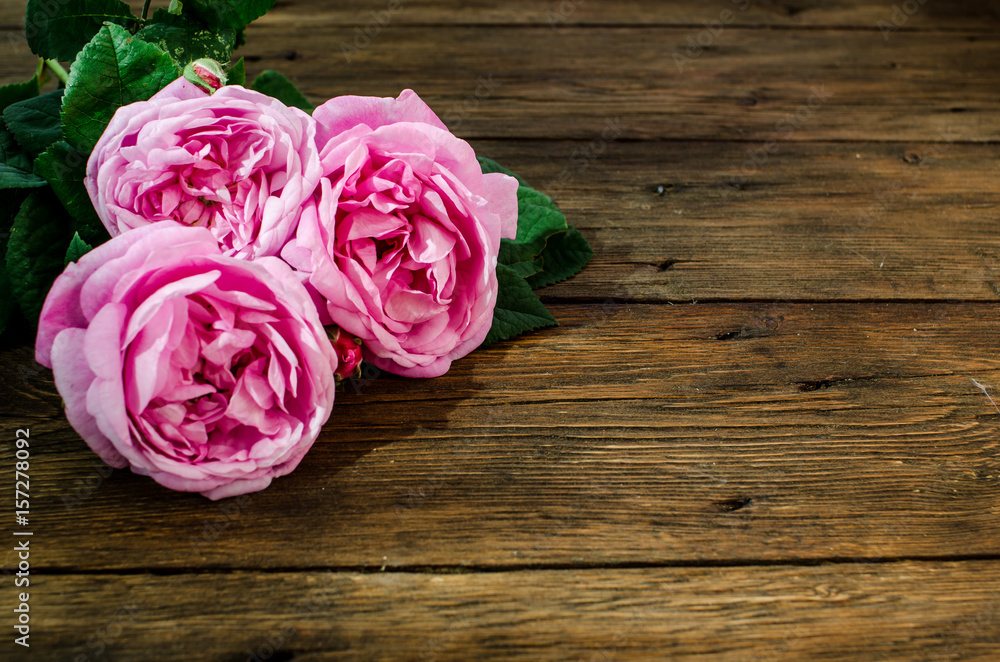 Floral frame with pink rose flowers on wood background. place for text, top view.