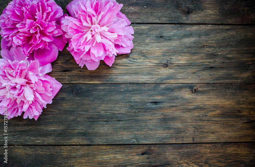 Fototapeta premium Floral frame with pink peonies flowers on wood background. Selective focus, place for text, top view