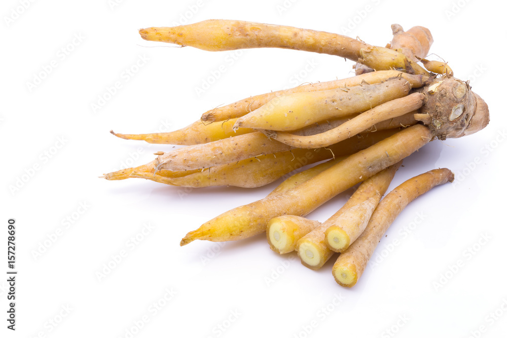 finger root Ingredients for Thai Cuisine and thai herb on white background finger root Ingredients for Thai Cuisine and thai herb on white background