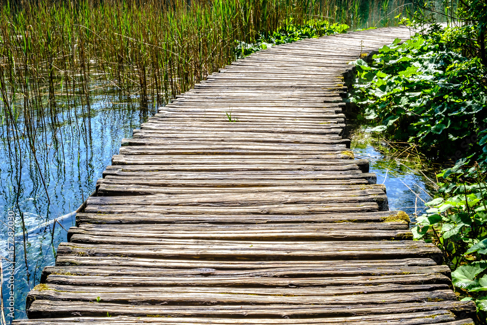 Fototapeta premium wooden footpath