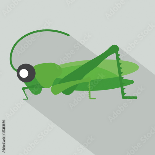 Modern Flat Design Grasshopper Icon Vector Illustration