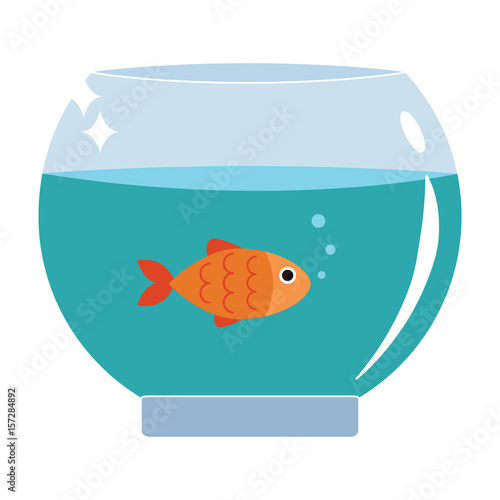 Gold fish in aquarium vector illustration flat design.