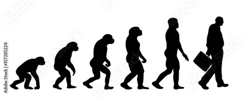 Vector silhouette of evolution of man.