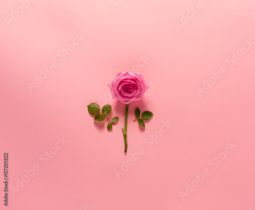 Reassembled rose on pink