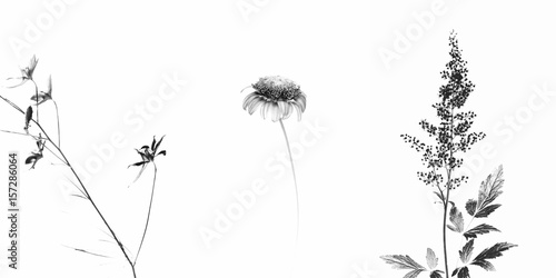 Wallpaper Mural Trittico fiorito Torontodigital.ca