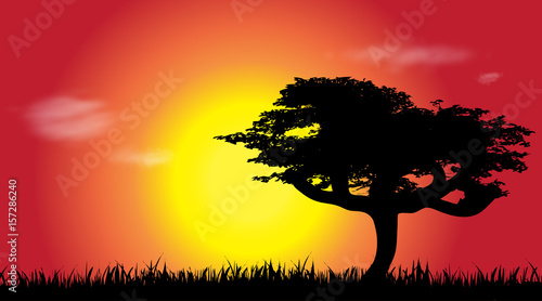 Vector silhouette of savana at sunset.