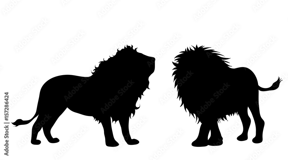 Vector silhouette of lion on white background.