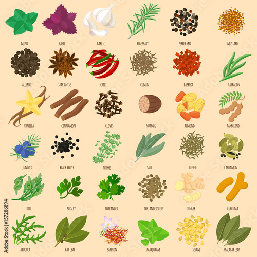 Herbs and spices icons 