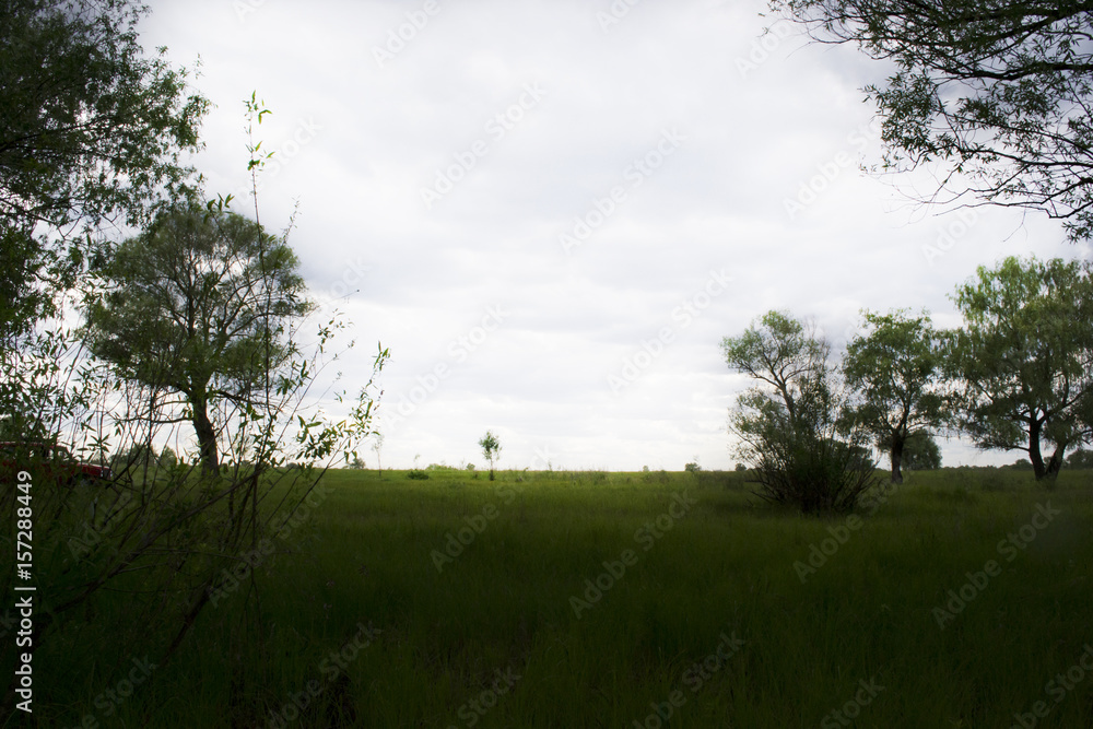 Obraz premium Green field and white sky