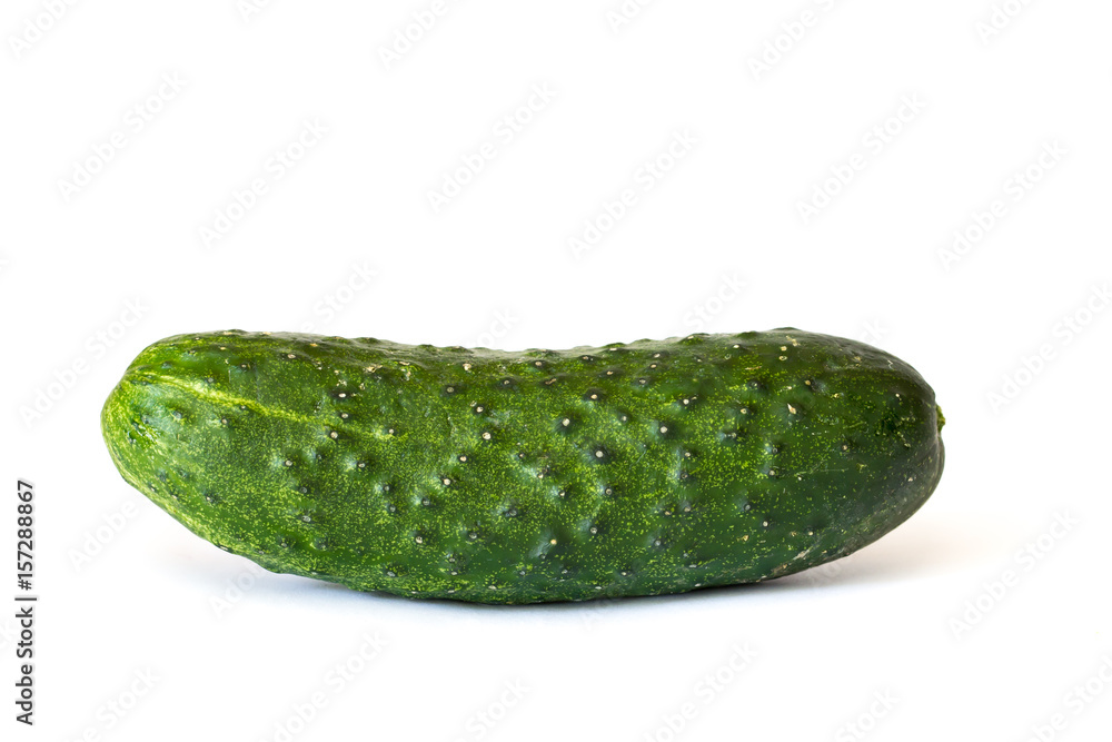 One green cucumber isolated on white background One green cucumber isolated on white background