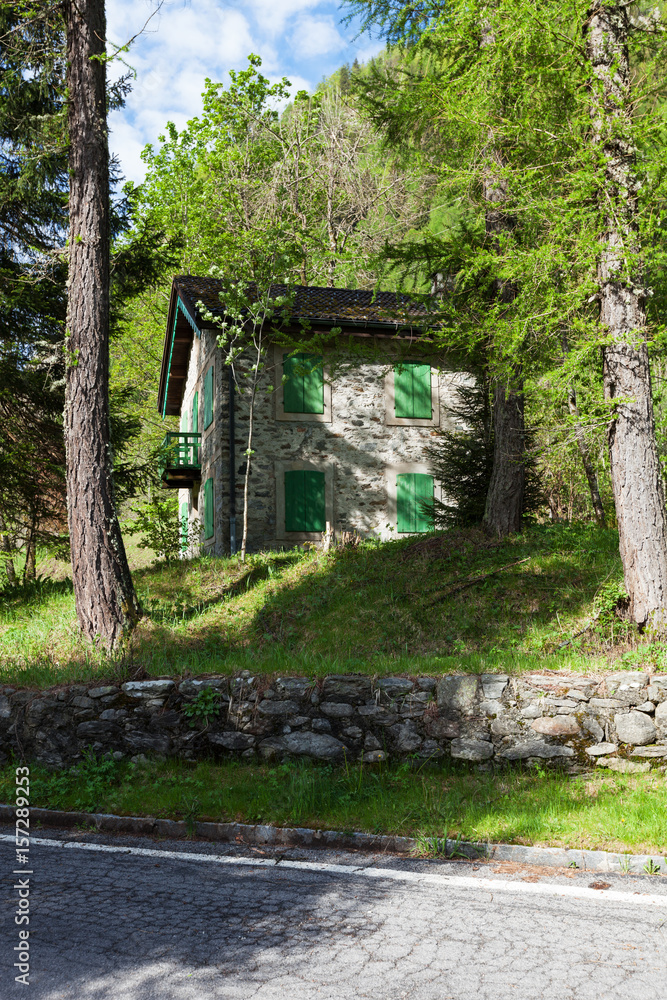 Small house hide by plants. Surrounded by nature Small house hide by plants. Surrounded by nature