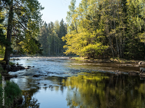 Swedish river and natural salmon area in spring