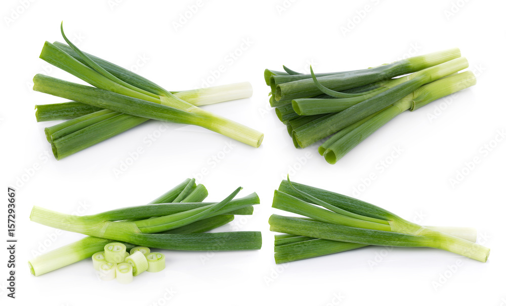 Fototapeta premium Green Japanese Bunching Onion on white background