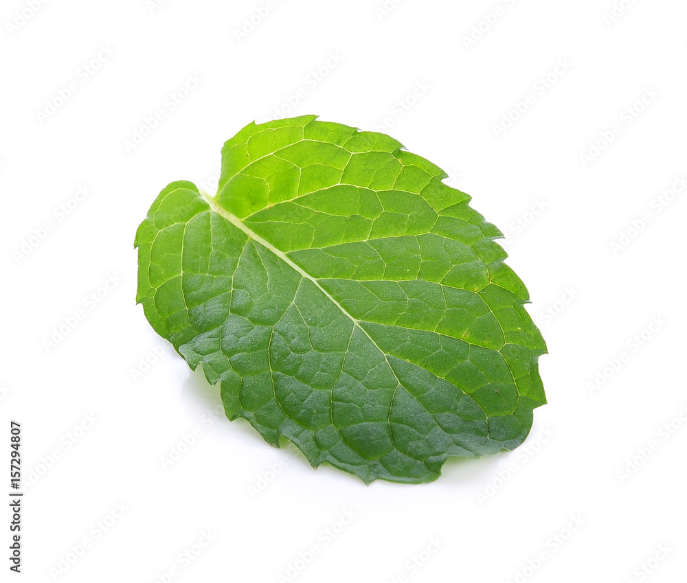 Obraz premium Single mint leaf isolated on white background