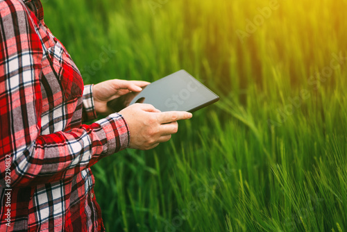 Female farmer using tablet in wheat crop field © Bits and Splits