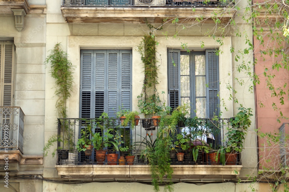 Green balconies in Barcelona