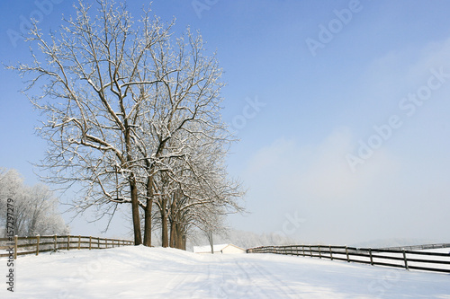 Snowy Drive