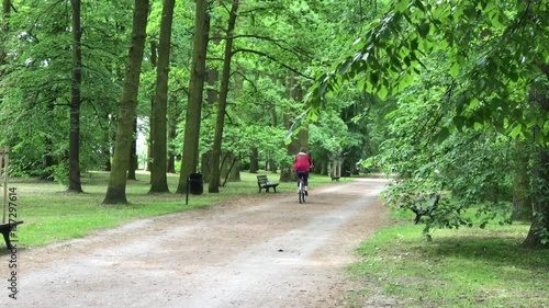 Wallpaper Mural Woman riding on bike Torontodigital.ca