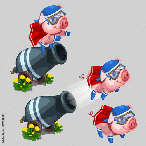 Circus performance gun shoots a pig. Cartoon style