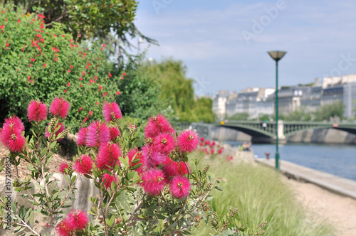 jardin public en bord de Seine    Paris 