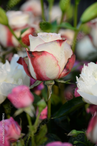 Blumengeseck mit Rose