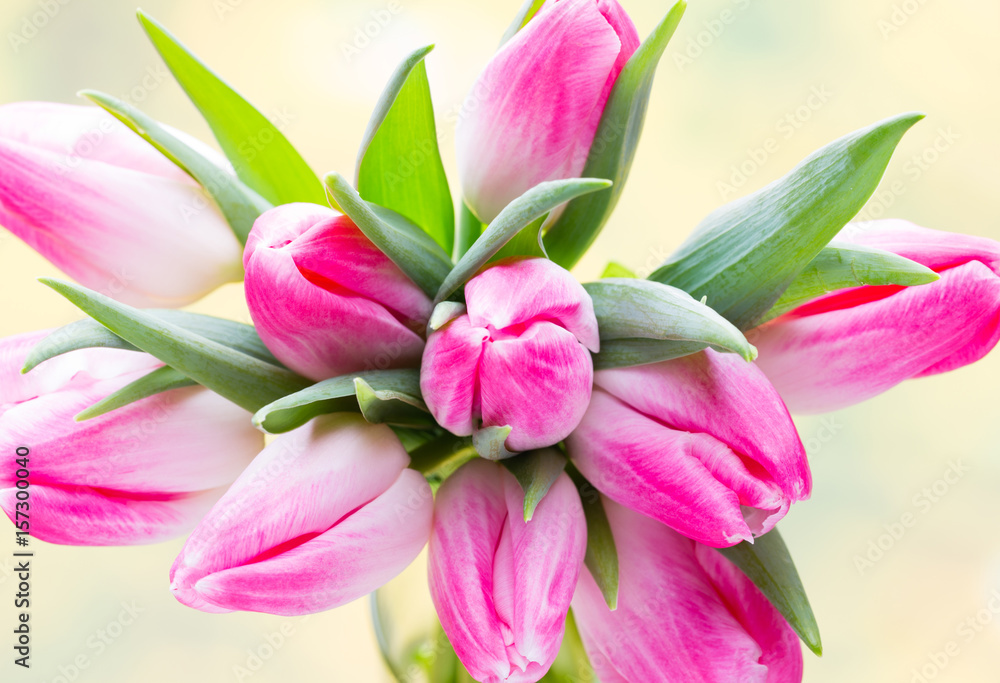 Spring flowers. Tulip bouquet on the bokeh background. Spring flowers. Tulip bouquet on the bokeh background.