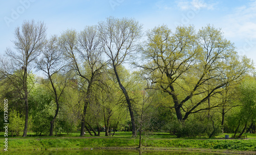 The natural landscape in the spring.