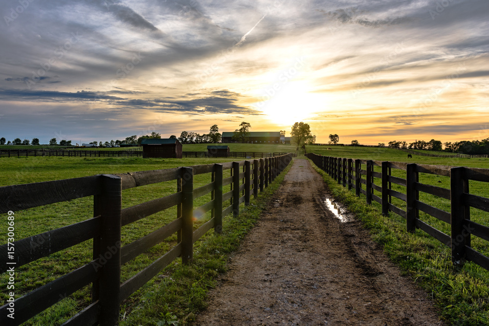 Country lane between pastures