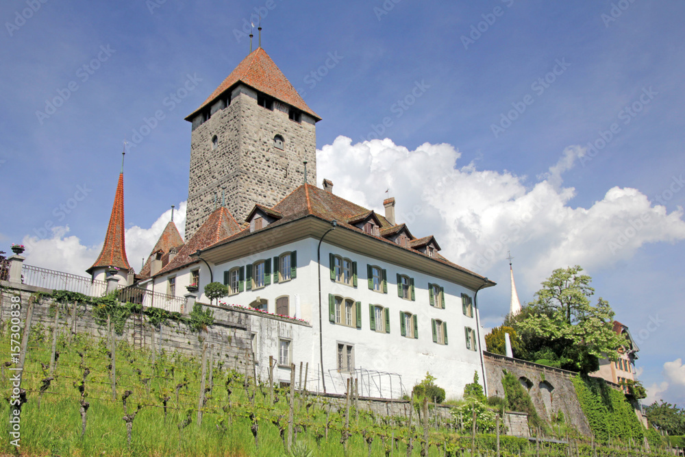 Schloss Spiez, Thunersee Schweiz 