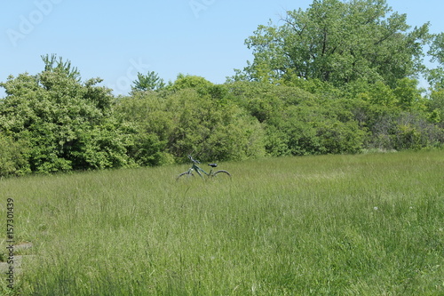 Bike in Field