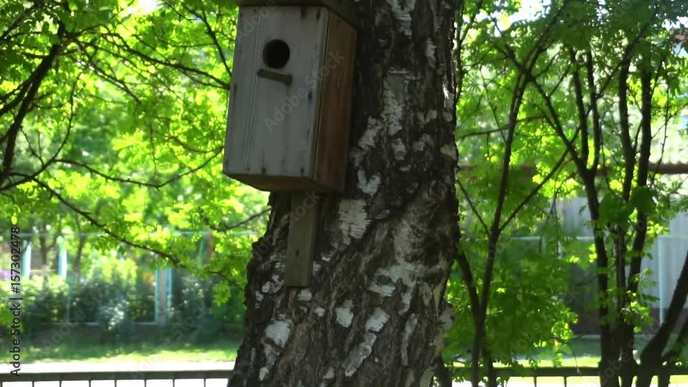the little birdhouse hanging on a tree,on a background of green leaves. the little birdhouse hanging on a tree,on a background of green leaves.