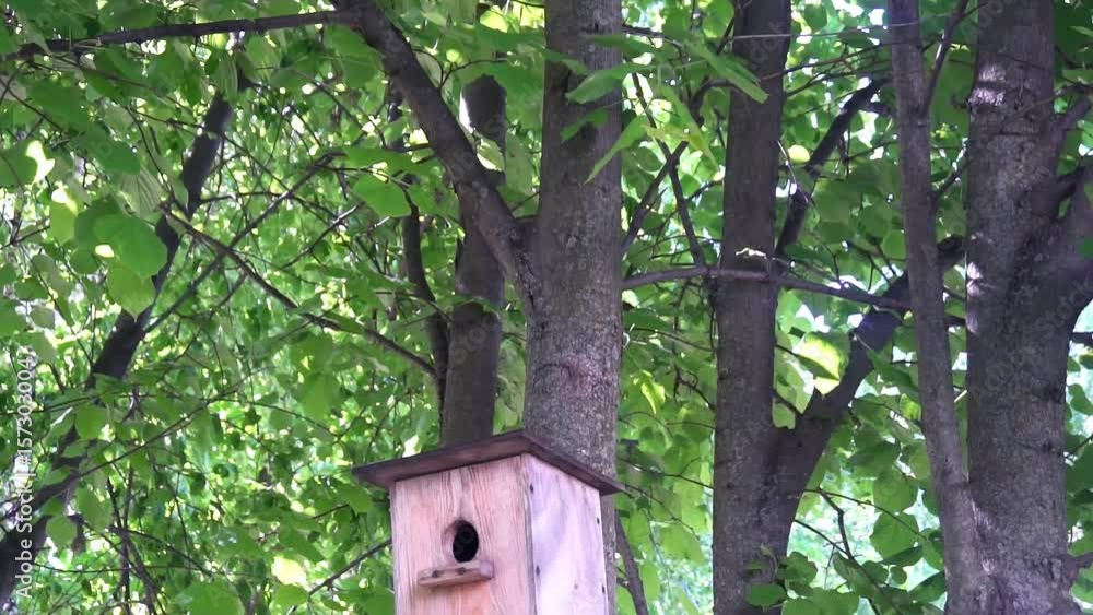 the little birdhouse hanging on a tree,on a background of green leaves.