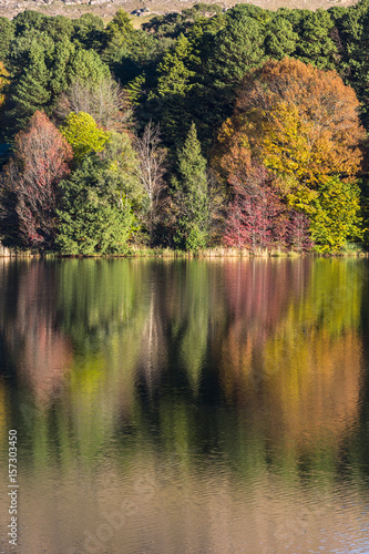 Fototapeta Naklejka Na Ścianę i Meble -  Autumn colored trees reflection on water