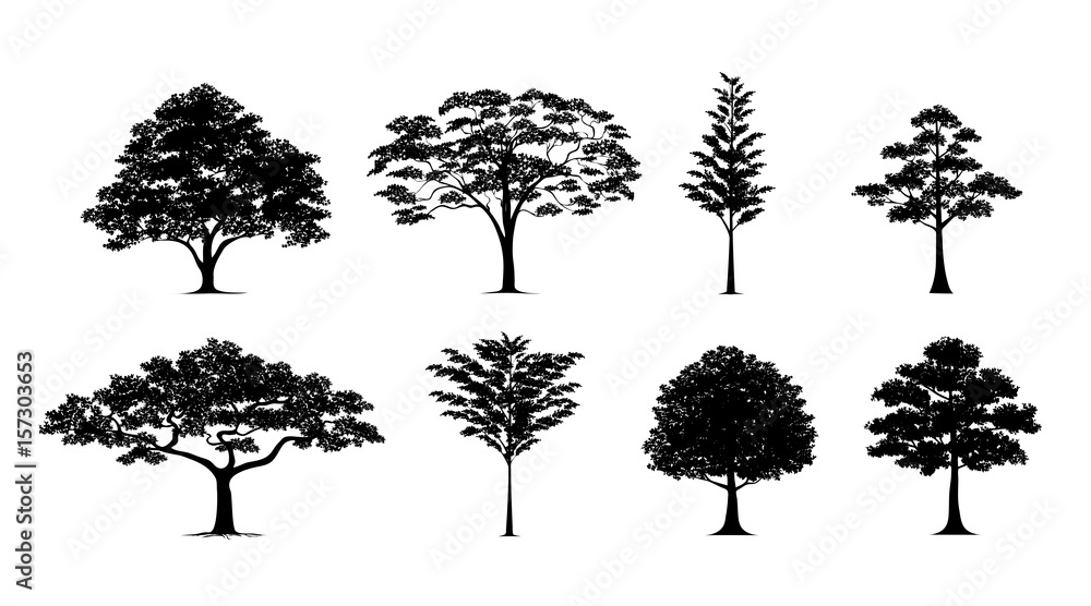 Fototapeta premium zestaw sylwetka drzewa