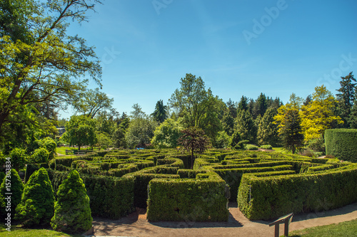 Maze Garden