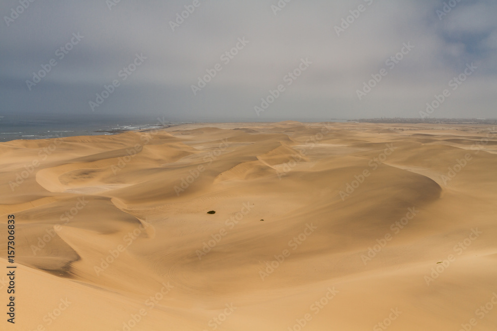 Dune at the atlantic ocean