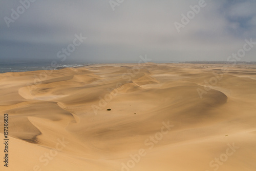 Dune at the atlantic ocean