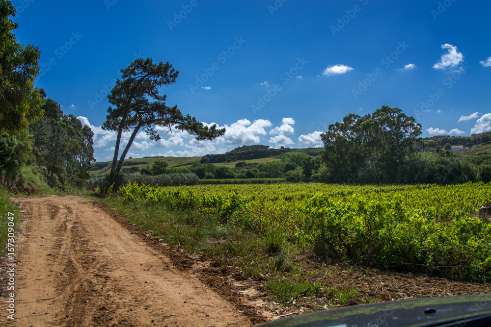 Obraz premium Sao Lourenco in Ericeira Portugal.