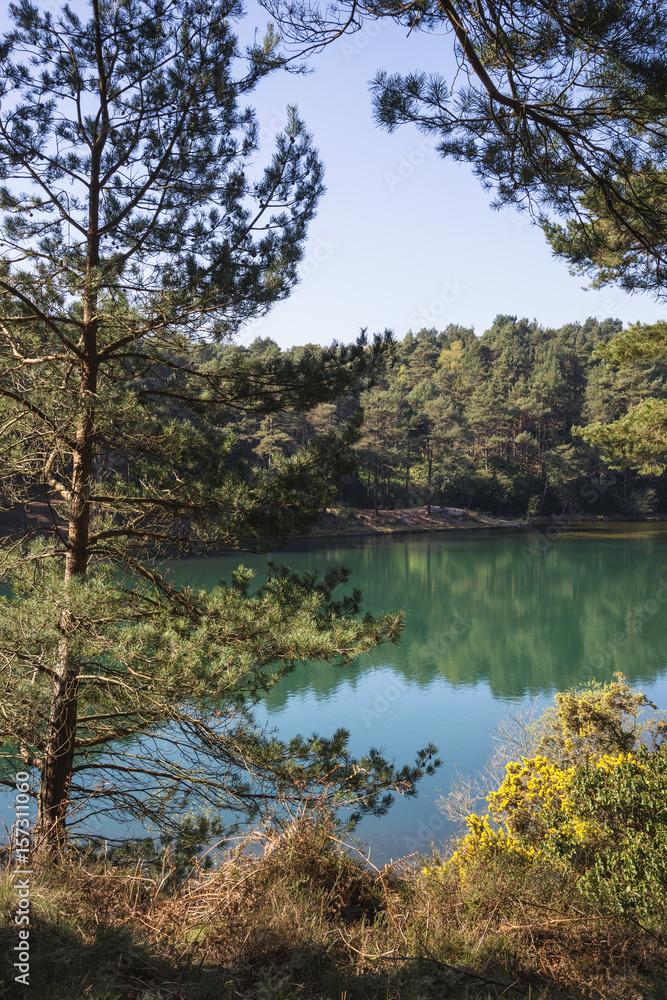 Fototapeta premium Beautiful vibrant landscape image of old clay pit quarry lake with unusual colored green water