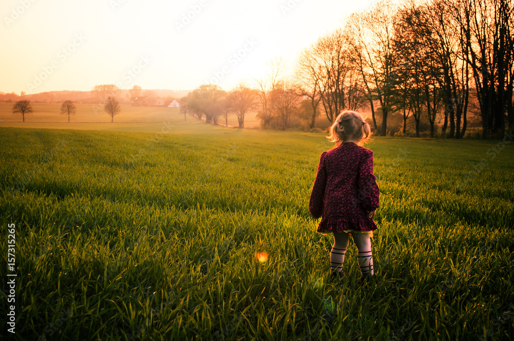 Child in the field at sunset. Silhouette concept