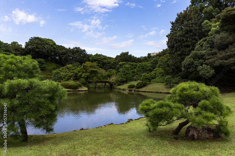 Pond and green trees in Japanese traditional Rikugien garden in Tokyo city during the sunny autumn day