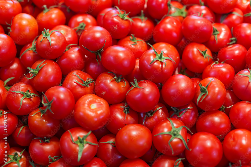 Group of fresh tomatoes as a background Group of fresh tomatoes as a background