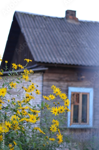 a huose with flowers photo