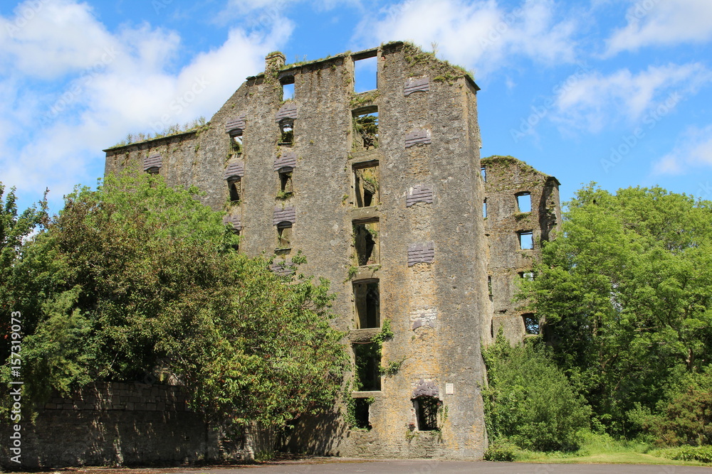 Old Mill Belgooly County Cork Ireland