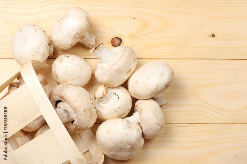 mushrooms on light wooden background. top view with copy space mushrooms on light wooden background. top view with copy space
