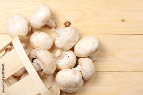mushrooms on light wooden background. top view with copy space