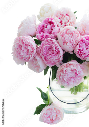 Fresh peony flowers buds colored in shades of pink in vase close up isolated on white background