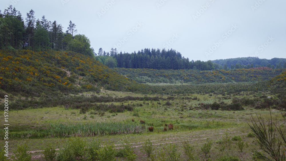 Fototapeta premium landscape