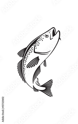 fish pollack